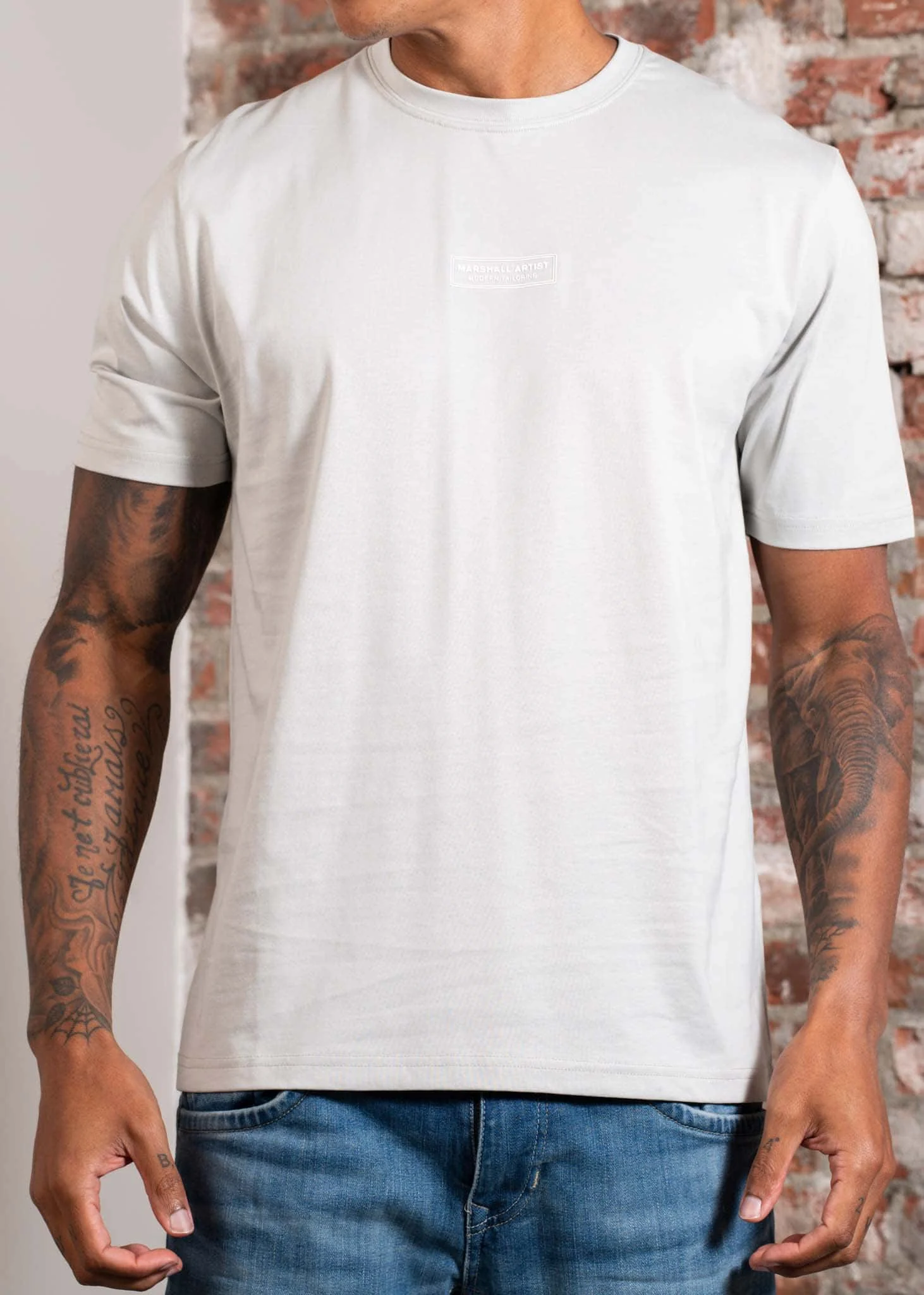 Injection t-shirt - dove grey